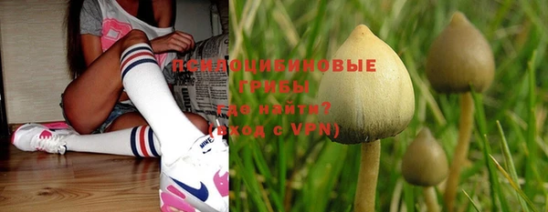 дживик Белоозёрский