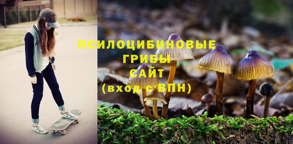 дживик Белоозёрский