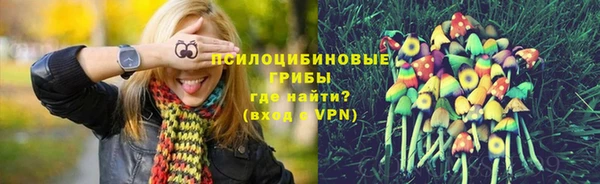 дживик Белоозёрский