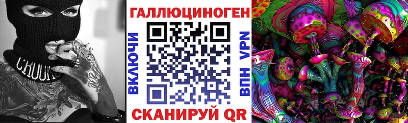 дарнет шоп  Наро-Фоминск  Псилоцибиновые грибы мицелий 